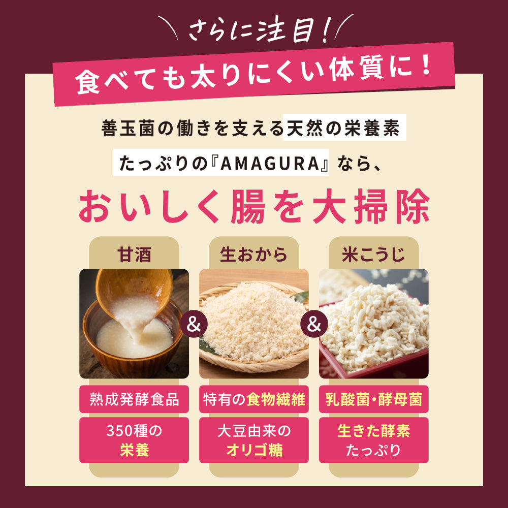 まるごと甘酒の生おからクッキー-MIX-