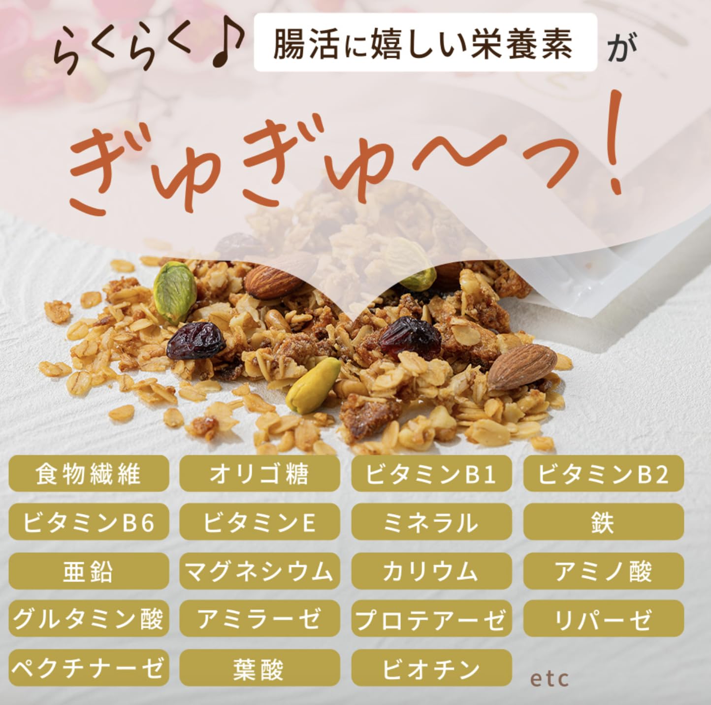 蔵のみりん発酵グラノーラ-シナモン-