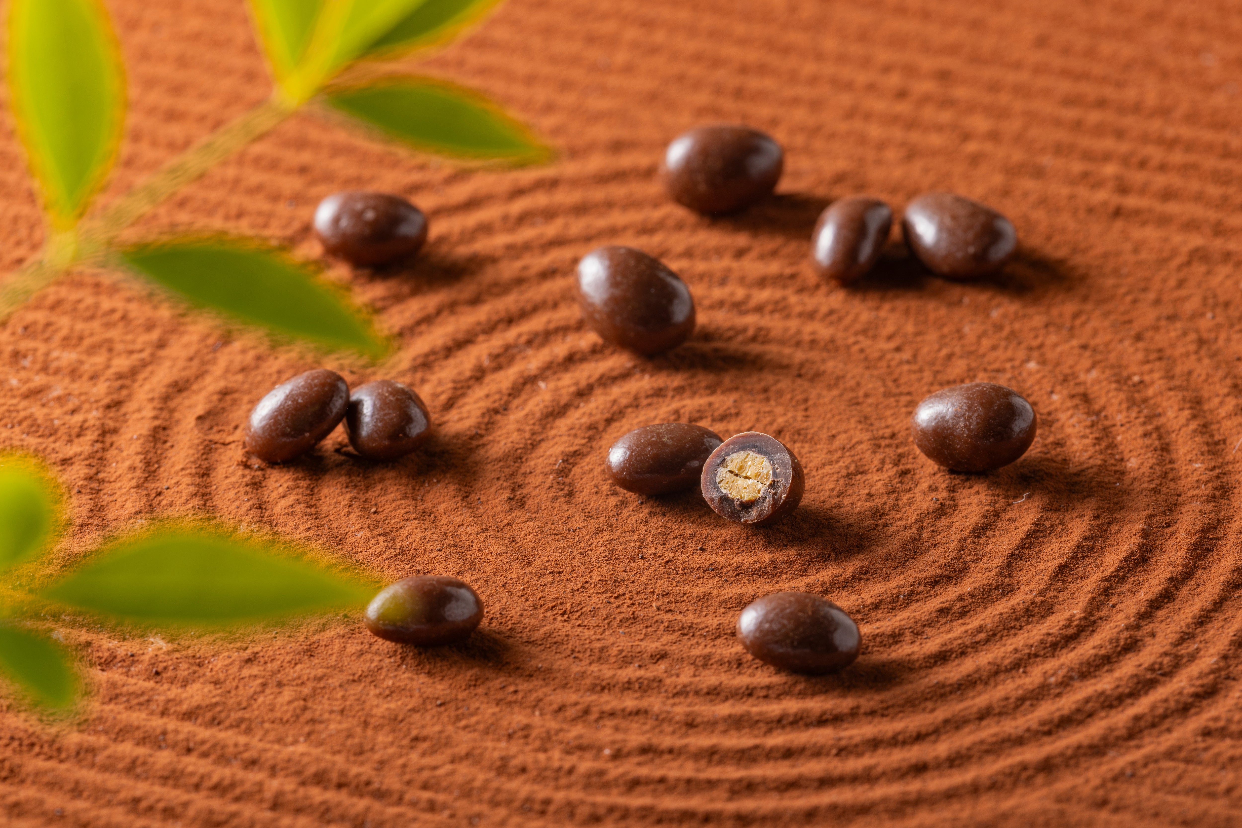 DRY NATTO DIET SUPPORT BEANS - CHOCOLATE