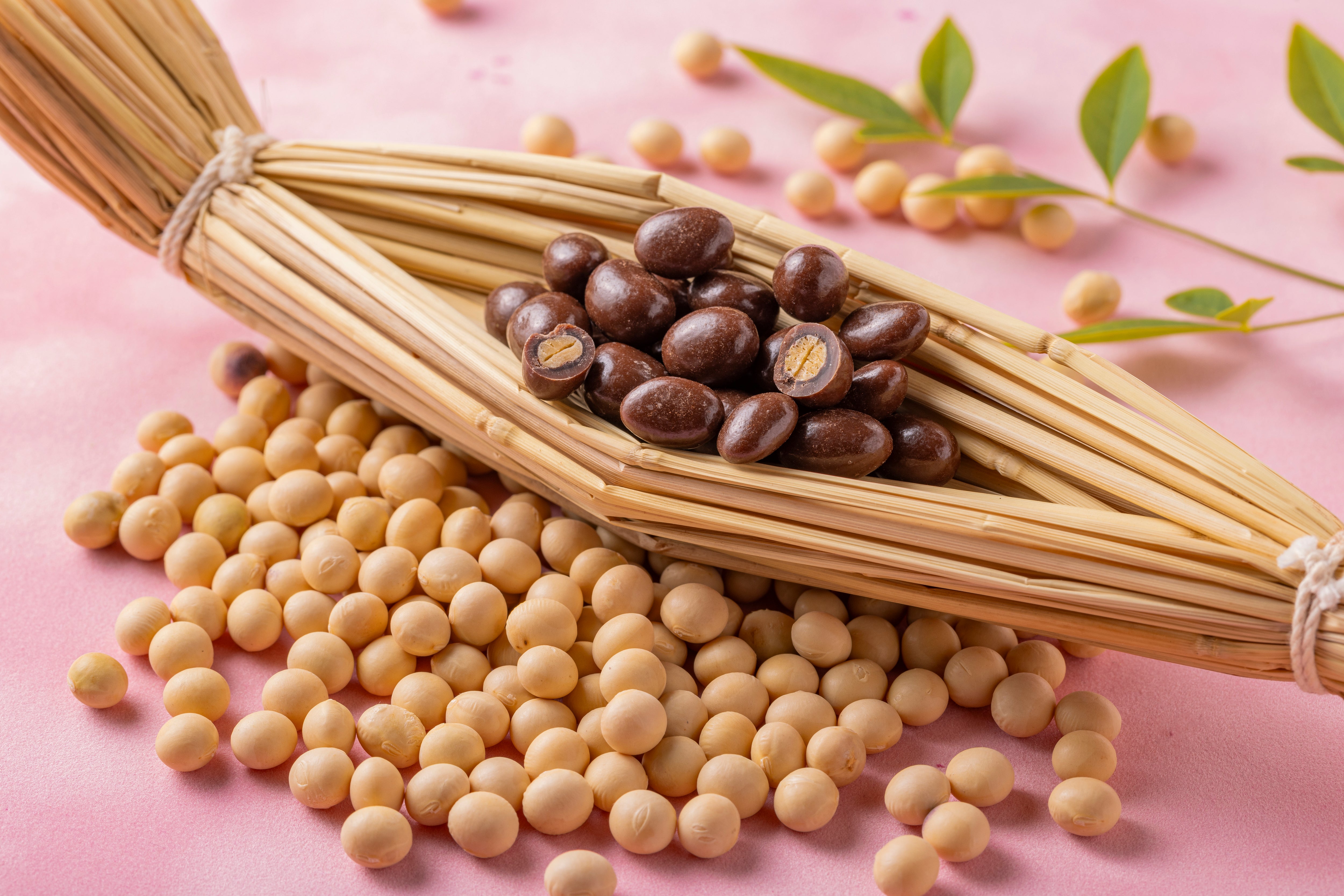 DRY NATTO DIET SUPPORT BEANS - CHOCOLATE