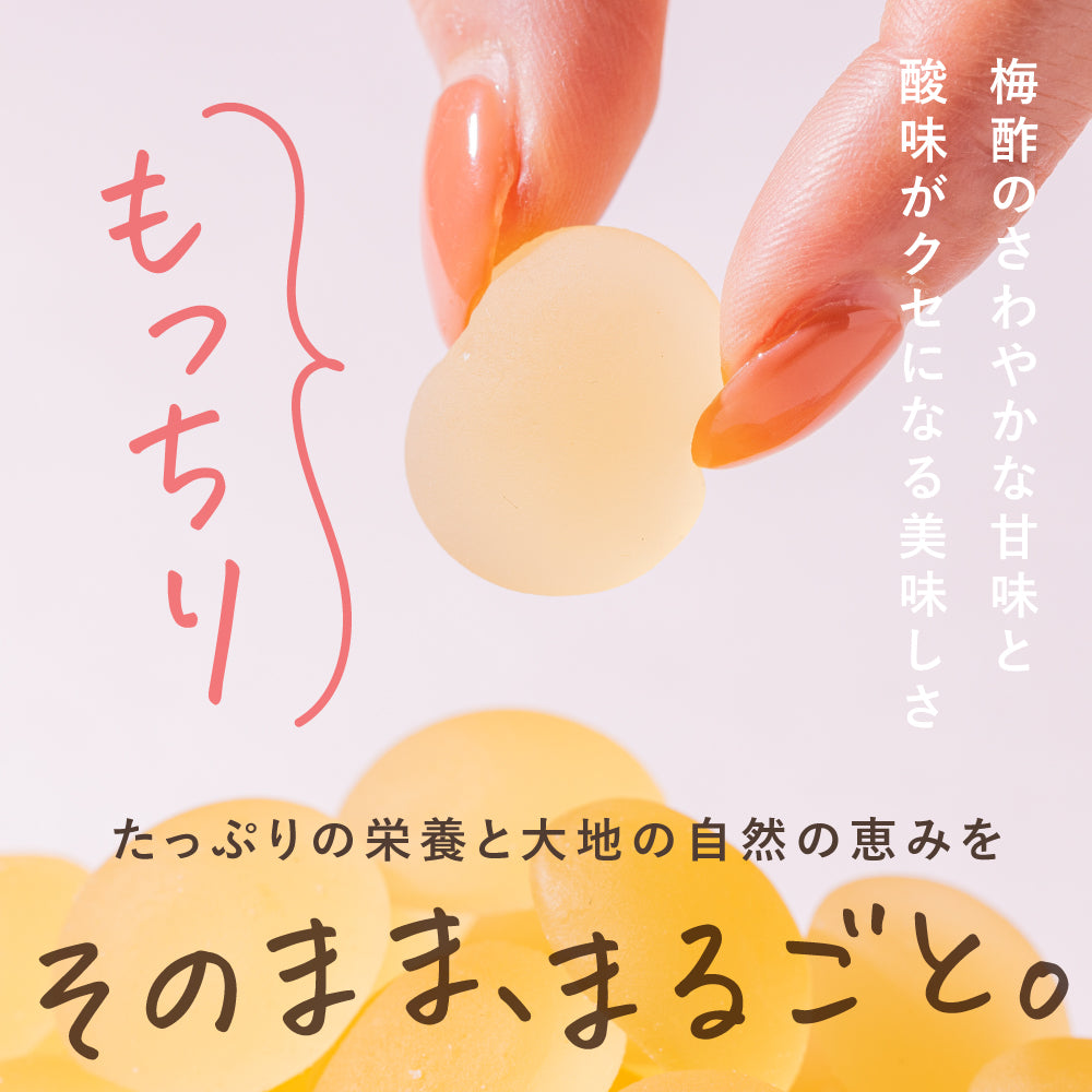 Whole Amazake Granola - Nuts & Cinnamon -