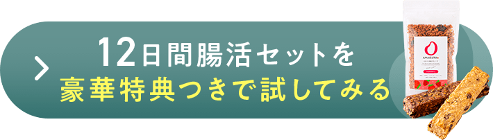 12日間腸活セットを豪華特典つきで試してみる!