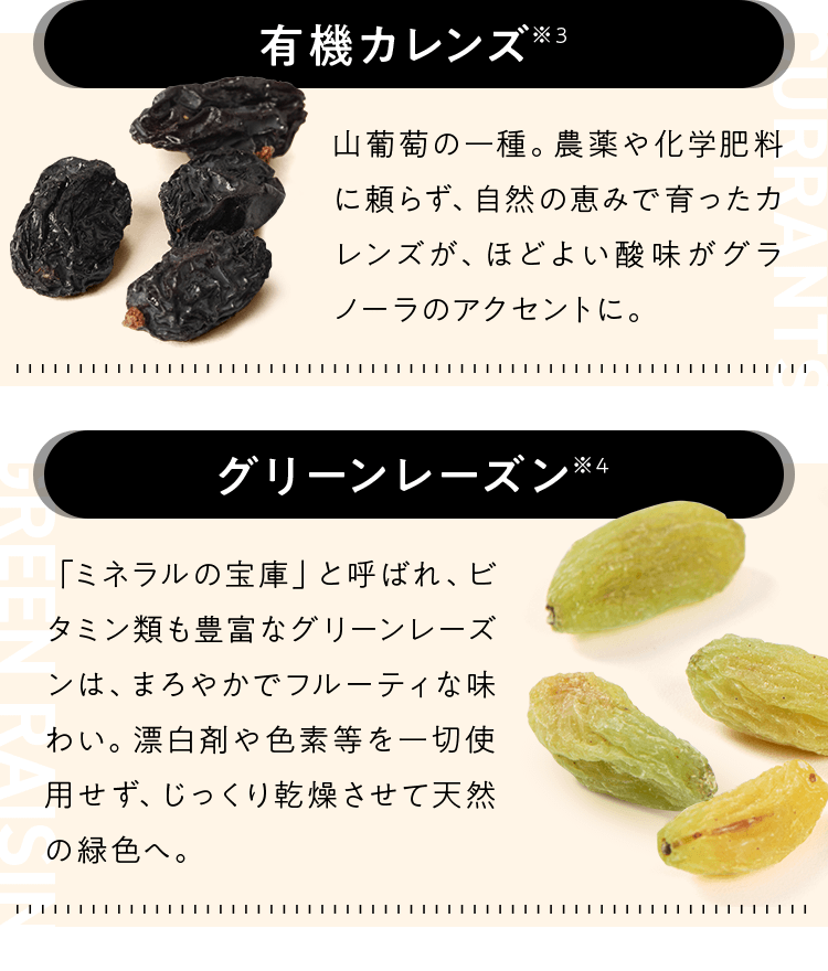 有機カレンズ・グリーンレーズン